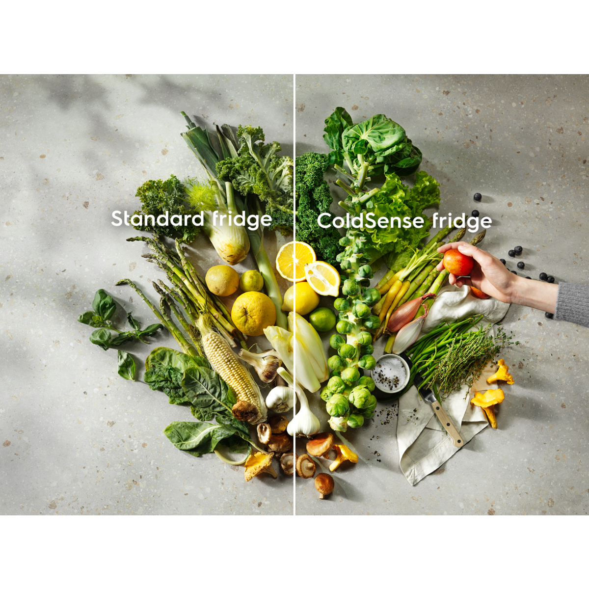 Electrolux - Einbau-Kühl-Gefrierkombinationen - LND5FE18S1