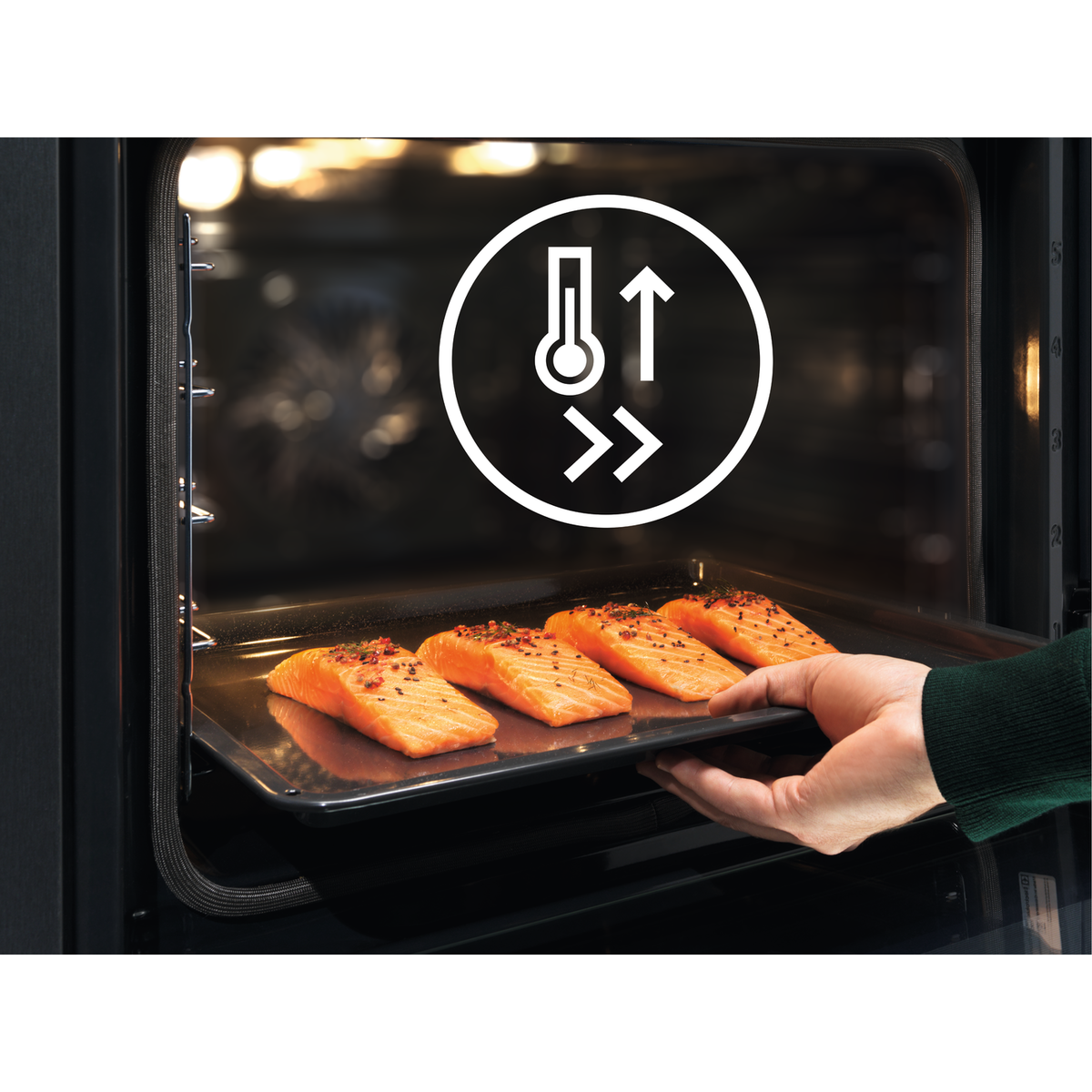 Electrolux - Einbaubacköfen und -herde mit pyrolytischer Selbstreinigung - EOF6P46Z
